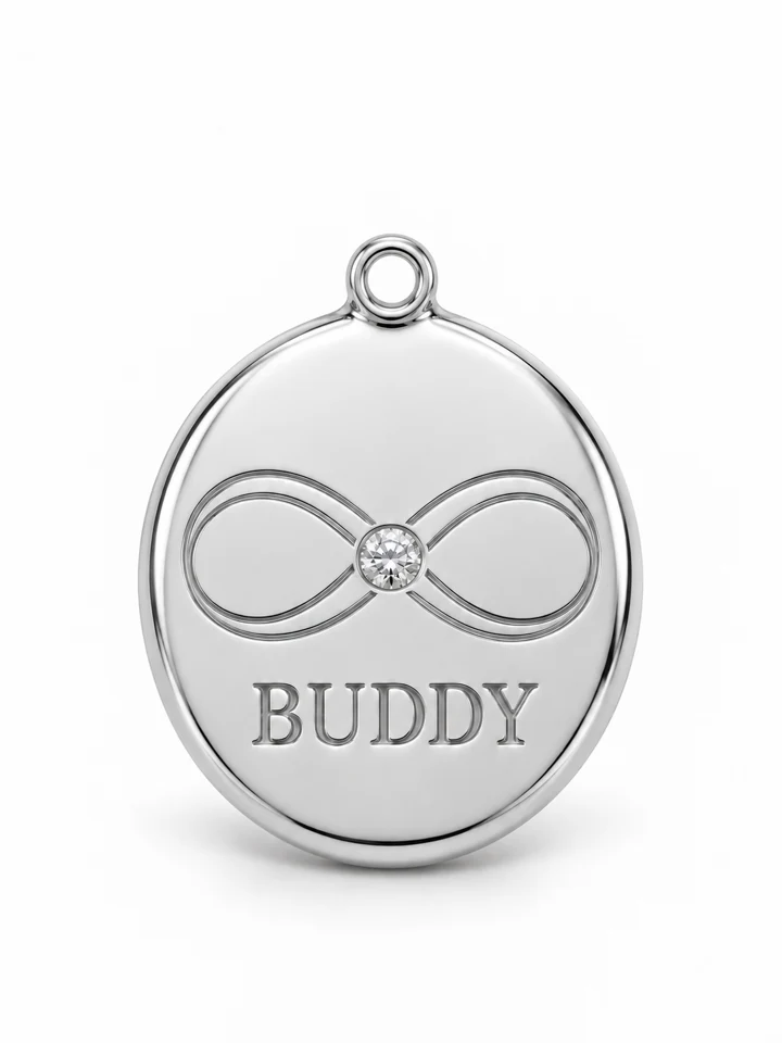 Forever Together Dog Charm in Sterling 925 silver with a lab-grown diamond
